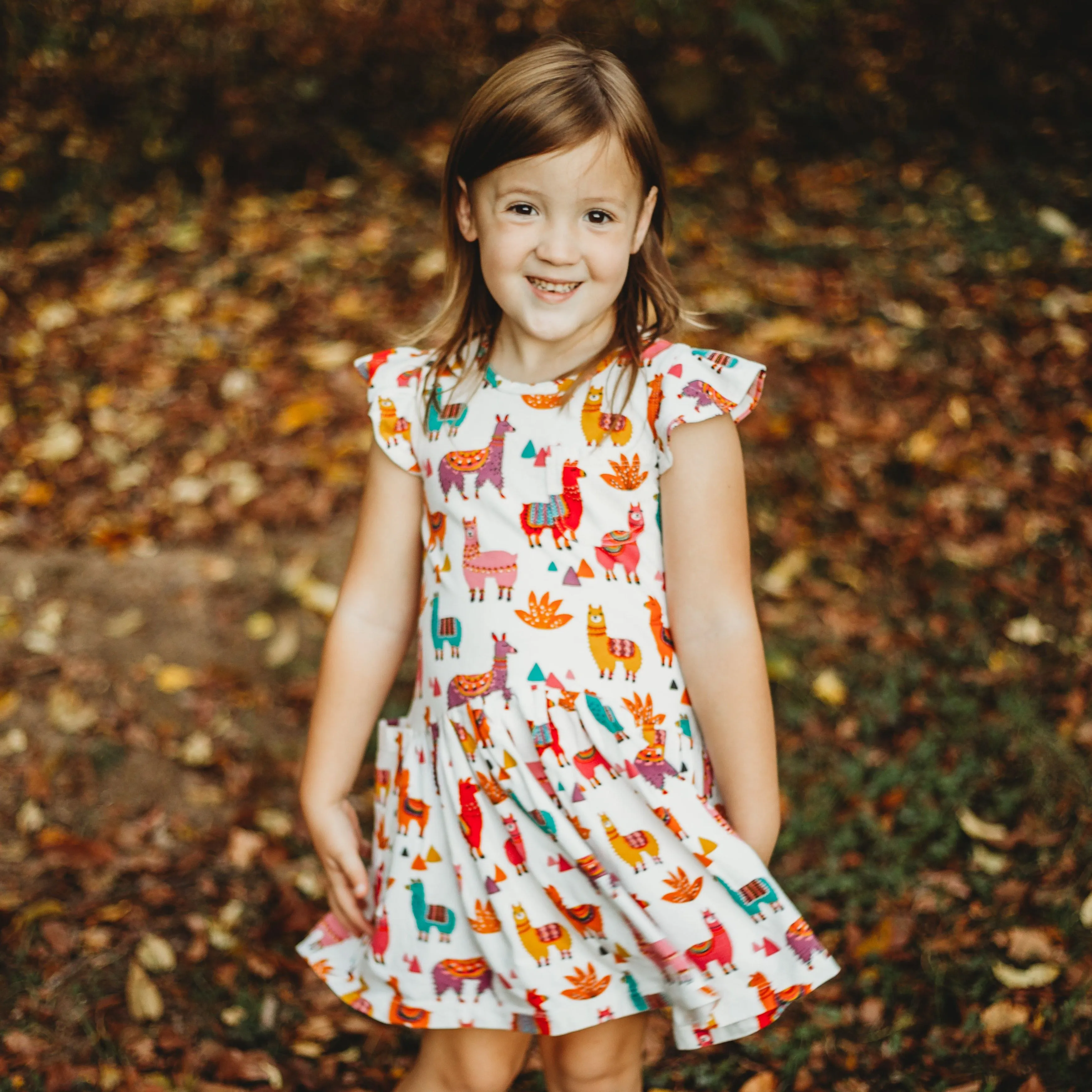 Little Girl's Multicolor Alpaca Print Jersey Cotton Three Pocket Dress